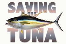 June 8, 2014 July 20-25, 2014 September 1-4, 2014 September 15, 2014 December 16-18, 2014 Saving our Tuna documentary