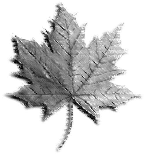 Government of Canada Gouvernement du Canada Public Report CanadaÕs War