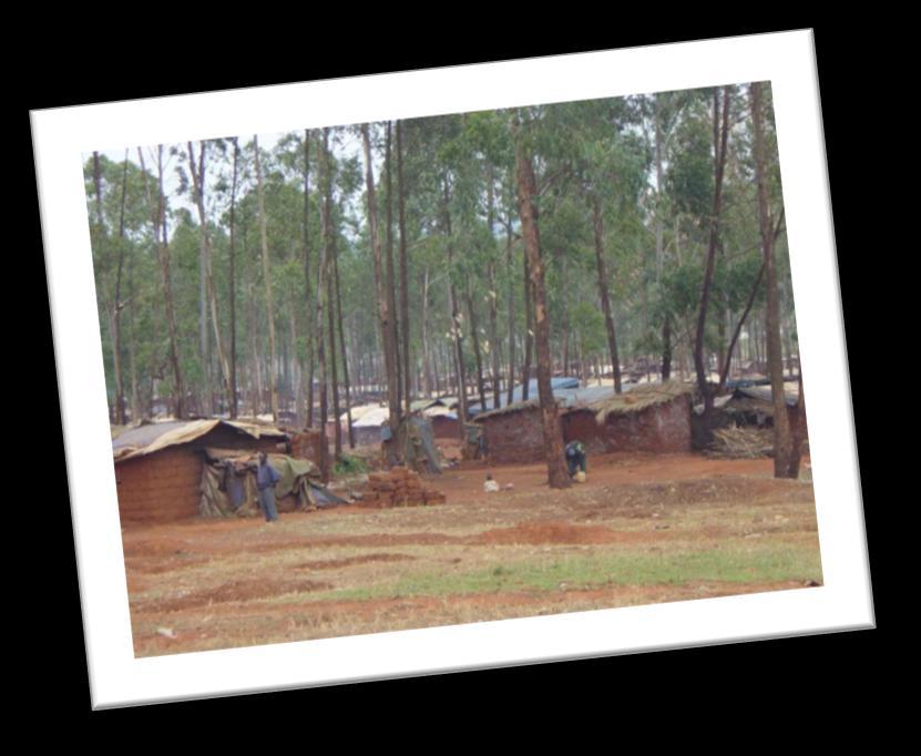 A BRIEF HISTORY OF THE 1972 BURUNDIANS Civil unrest continued in 1988, 1993