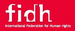 INTERNATIONAL FEDERATION FOR HUMAN RIGHTS Grouping of different human rights