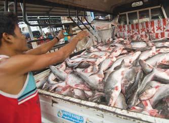 25 Business the MyanMar times Strong kyat hurts fisheries exporters: MFF By Soe Sandar Oo FISHERIES exporters say they are concerned by the weak exchange value of the US dollar and export credits.
