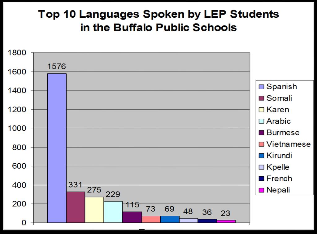 Languages of LEP students in Buffalo Public Schools (2009-2010) 11 12 According to Tamara Alsace, director of multilingual education for Buffalo Public Schools, "The top five languages today are