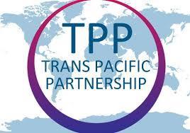 What is TPP?