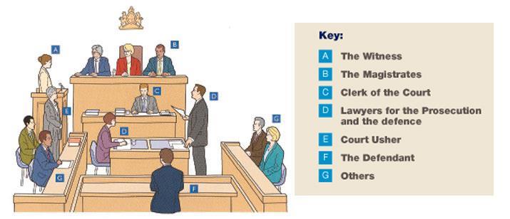 Types of Court There are two main types of criminal court. The type of court your son/daughter has to go to will depend on the crime they are accused of.