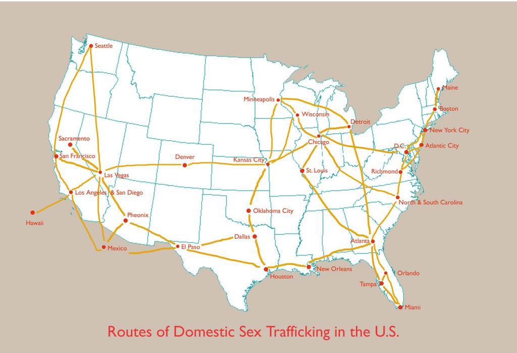 We have also started to see some federal convictions made against domestic traffickers. (slide 21) With respect to service provision, there are about 20 organizations in the U.S.