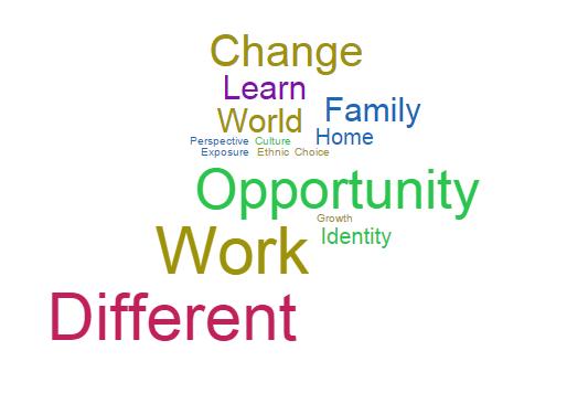 Figure 18 - Word cloud illustrating top words associated with globalisation and acculturation The identified words also gave an interesting insight into the personality of these individuals.