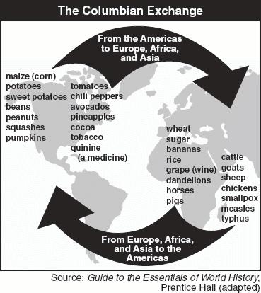 A conclusion BEST supported by this illustration is that the Columbian Exchange A. increased the isolation between Europe and the Americas. B. ended the slave trade in the Eastern Hemisphere.