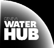 An ambitious water goal, including elements from the concept of the human right to water as recognized by the General Assembly, has been adopted in the context of the Sustainable Development Goals