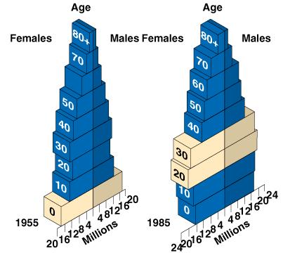 Population Age Structure Population age structure of the United States continues
