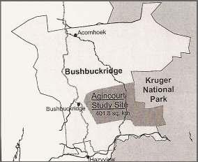 Bushbuckridge district, Mpumalanga