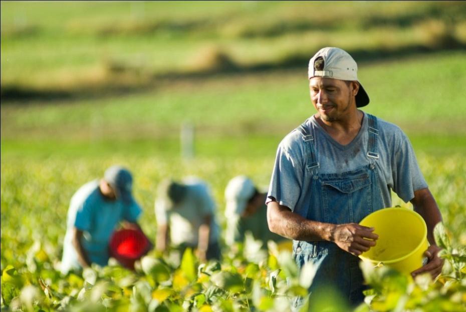 AGRICULTURE & LABOR TRAFFICKING Victims: Foreign Nationals; US Citizens; Men & Women; Migrant Laborers Controllers: Contractors, Crew Leaders, Growers Source: Health and Human Services Locations: