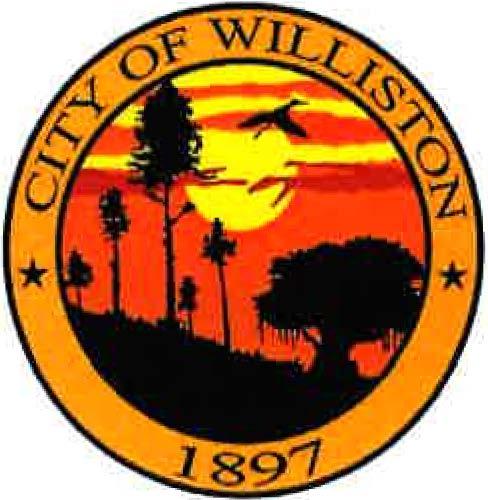 City of Williston Planning and Zoning Department Report to Council Project: Date: Ordinance change to LOR in Section 60.