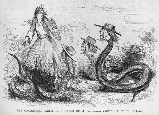 WAR AND POLITICS 61 When war broke out between the North and the South, some Democrats opposed the war; they were labeled Copperheads by their opponents.