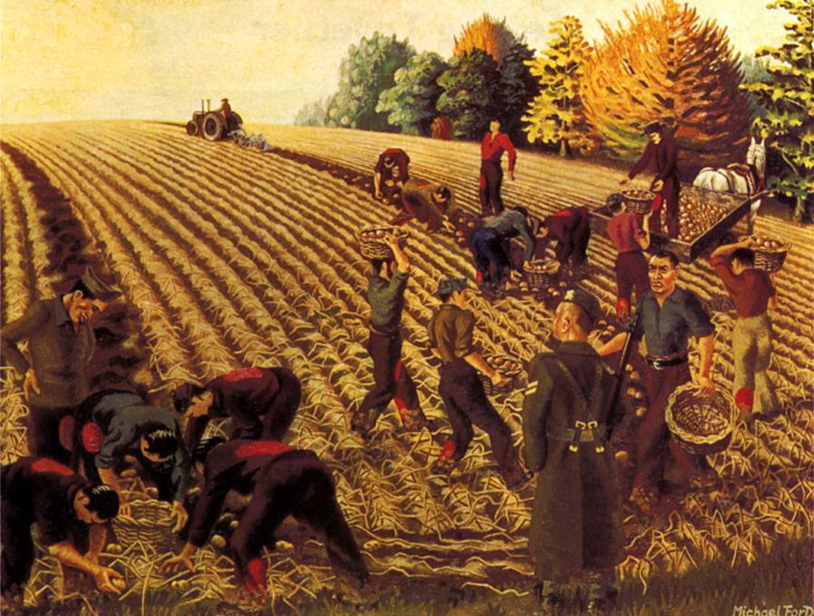 PRISONERS OF WAR Italian prisoners of war working on the Land Michael Ford, 1942. By courtesy of the Imperial War Museum This painting by Michael Ford shows Italian P.O.W. s gathering onions in an Overton field.