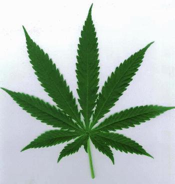 Marijuana will be legal soon.