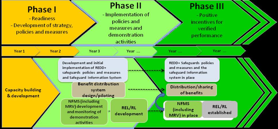 It should be noted that these phases are not strictly sequential ; indeed, experience on REDD+ readiness implementation have shown that readiness is a continuous process, with some countries