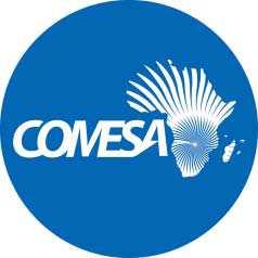 COMESA MODEL LAW ON ELECTRONIC