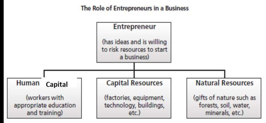 The box for Entrepreneur is at the top of the diagram MOST LIKELY because an entrepreneur is A. First in the alphabet compared to the other words. B.