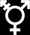 Rights of Transgender Employees Transgender employees, as well as members of the