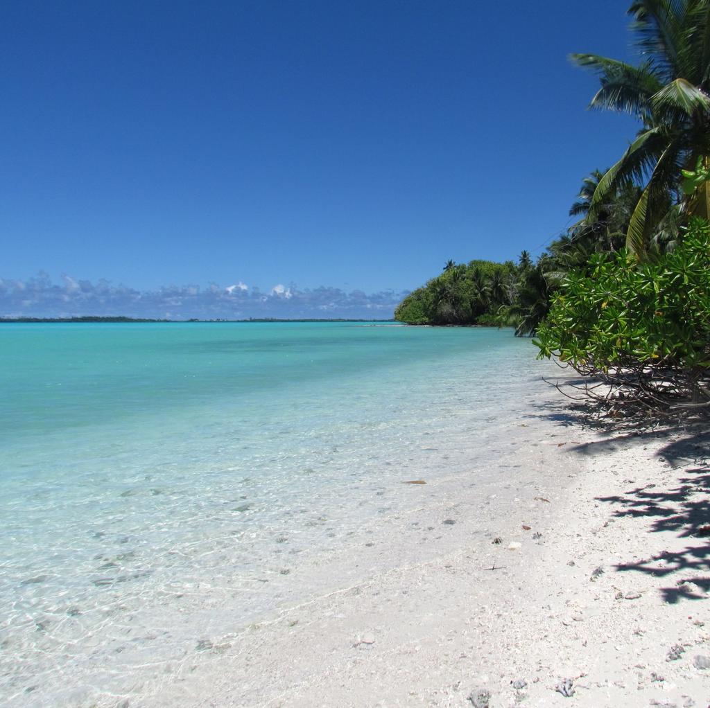 The Chagos Archipelago 500km south of the Maldives, the Chagos Archipelago also known as the British Indian Ocean Territory (BIOT) consists of 55 small islands in the Indian Ocean surrounded by