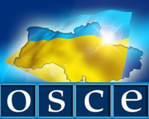 International organizations strengthen the role of relevant international support institutions, such as the Organization for Security and Cooperation in Europe (OSCE).