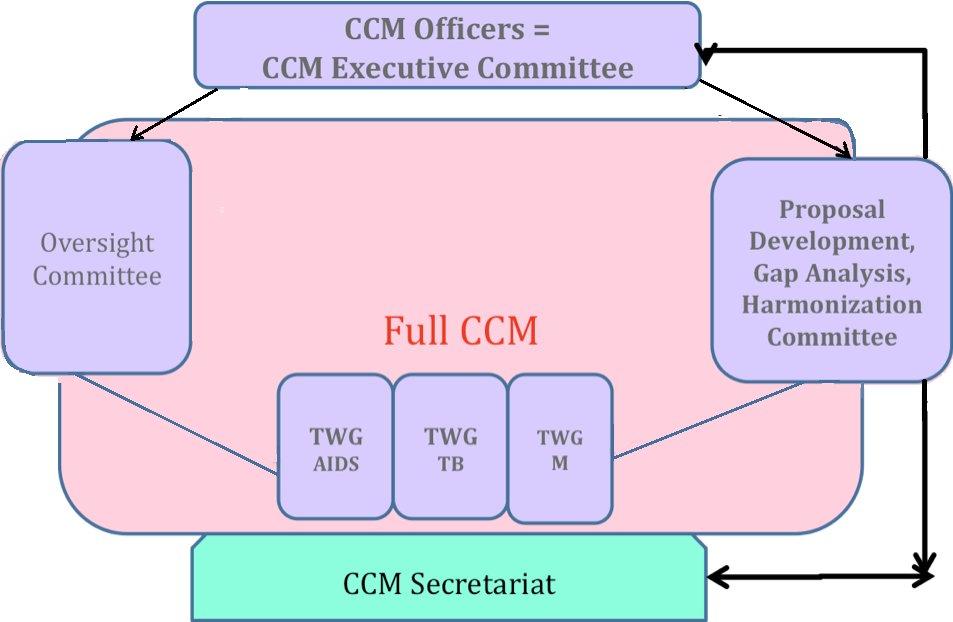 21. The stakeholder constituencies represented by membership of the CCM are: academic/education sector; government sector; non-governmental organizations (NGOs) and community-based organizations;