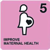 maternity protection for all female workers, good safety and health levels.