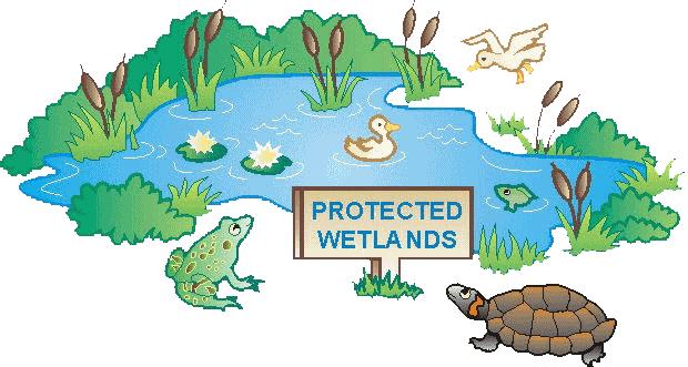 was passed, the Wetland (Conservation and