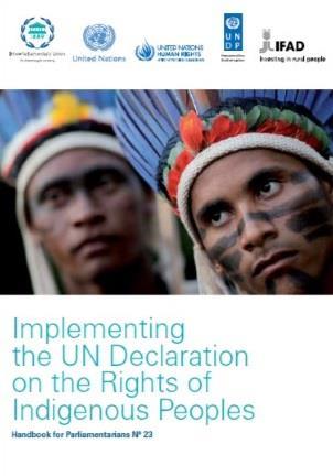 rights of indigenous peoples, especially NHRIs that are established in accordance with the Paris Principles.