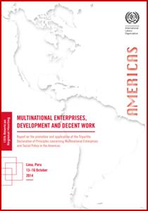 Appendix Global report on multinational enterprises, development and decent work: Report on the promotion and application of the Tripartite Declaration of Principles concerning Multinational