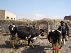 actually, more than 200,000 villagers in Kandahar province have benefitted in