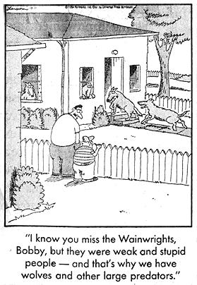 The Far Side on