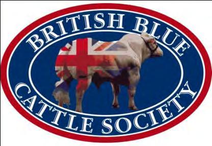 THE COMPANIES ACTS 1948 to 1981 -AND- THE COMPANIES ACTS 1985 to 1989 COMPANY LIMITED BY GUARANTEE AND NOT HAVING A SHARE CAPITAL ARTICLES OF ASSOCIATION OF THE BRITISH BLUE CATTLE SOCIETY (Adopted