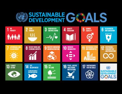 In 2015, the UN updated these goals and adopted the Sustainable Development Goals, outlining 17 areas of
