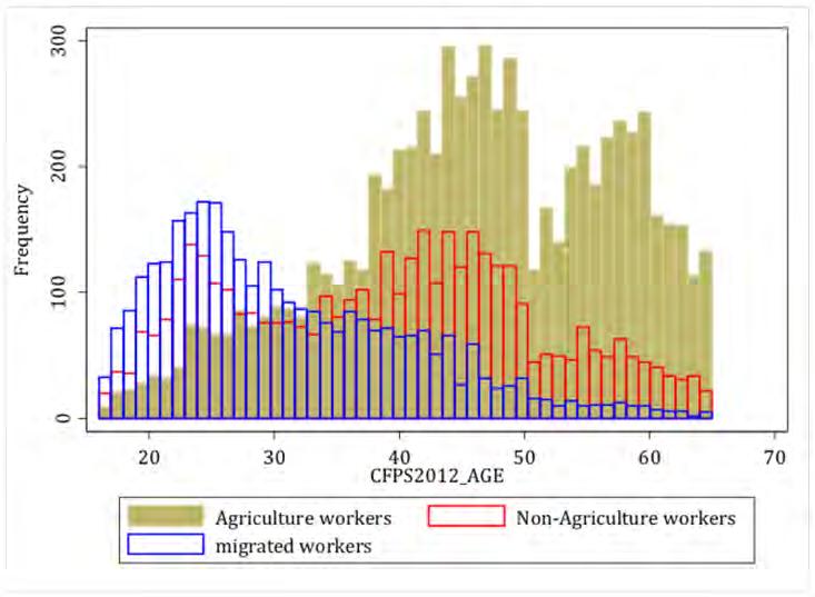 China s Labour Market Tensions and Future Urbanisation Challenges Figure 15.3b Number of Rural Hukou Workers as Migrants, Rural Non-Agricultural Source: Author s calculations from CFPS (ISSS 2012).