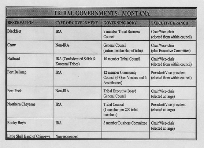 The council, existing under the legal handicaps herein pointed out, belongs to the Crow Tribe only and not the government, and as such will make its decisions without Indian Bureau