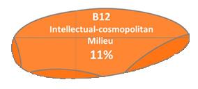 Key results: Milieu-affiliation seems to be the determinant factor The differing migration backgrounds (Turkish, Ex-SU) of the respondents had no apparent influence on their general cultural and