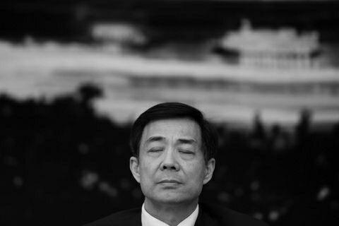 Wang and Bo Xilai, both now in prison, were actively involved in organ pillaging.