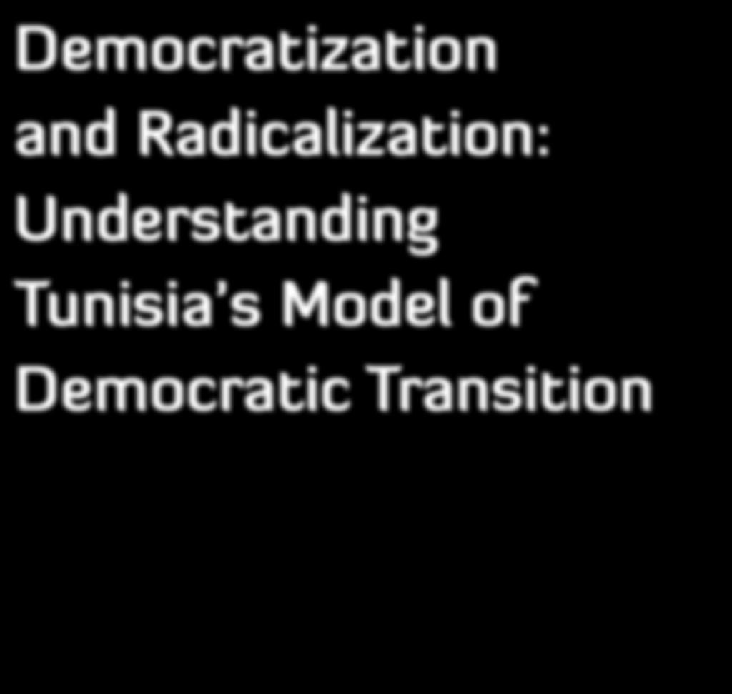 Democratization and Radicalization: Understanding