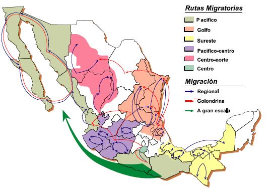 Figure 1 Migration Routes Source: (SEDESOL, 2004) The hypothesis underlying this paper is that migration characteristics, often omitted in economical empirical research due to their frequently