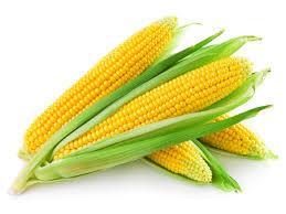 and the corn