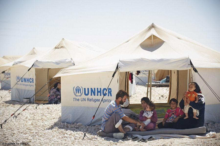 Benefits Offered by UNHCR UNHCR
