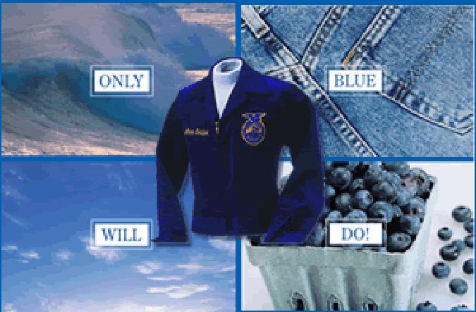 The Official FFA Jacket 1. It should only be worn by FFA members. 2. It should alwa ys be clean and neat. 3.