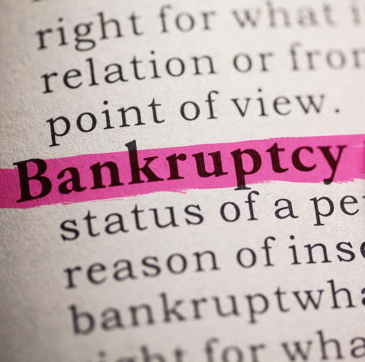 Bankruptcy 40th Annual Bankruptcy Institute LIVE Friday-Saturday, December 1-2, 2017 Renaissance Asheville Hotel, Asheville CLE CREDIT: 9.75 Hours Includes 1.