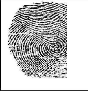 The fingerprint must be captured in