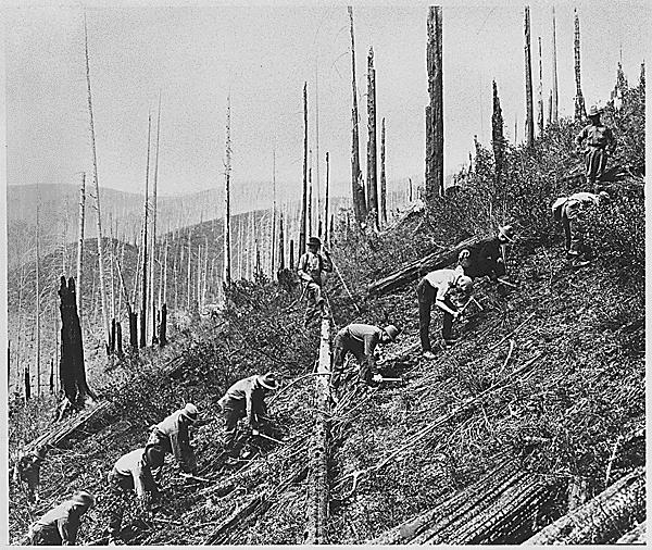 Work Projects Civilian Conservation Corps
