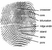 Many factors must be taken into account when implementing a biometric device including location, security risks, task (identification or verification), expected number of users, user circumstances,