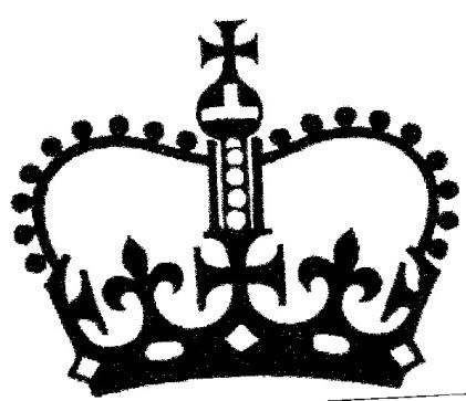 Crown designs that may be used for business purposes