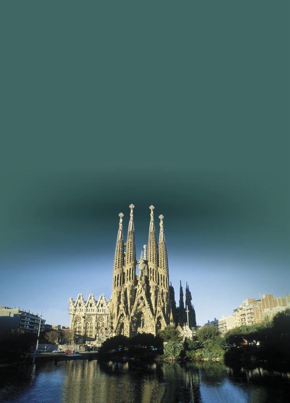 1 st World Congress on Controversies in Urology (CURy) Barcelona, Spain, January 31 February 3, 2008 ESS R G N