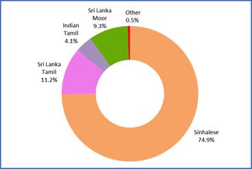 Ethnic composition Figure 16 : Ethnic composition - 2012 Indian Tamil 4.1% Sri Lanka Moor 9.3% Other 0.5% Sri Lanka Tamil 11.2% Sinhalese 74.9% In Sri Lanka, 74.